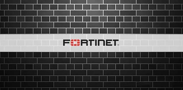 金瀚信安 上萬臺Fortinet VPN設備登錄憑證泄露：超一成位于中國01